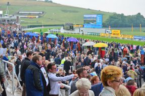 Lions amongst the crowds at Goodwood